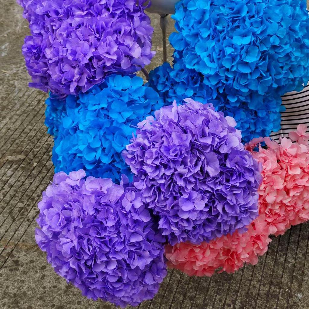 Multi-Color Preserved Bigleaf Hydrangea Single Stem Flower Bouquet for Home Decoration