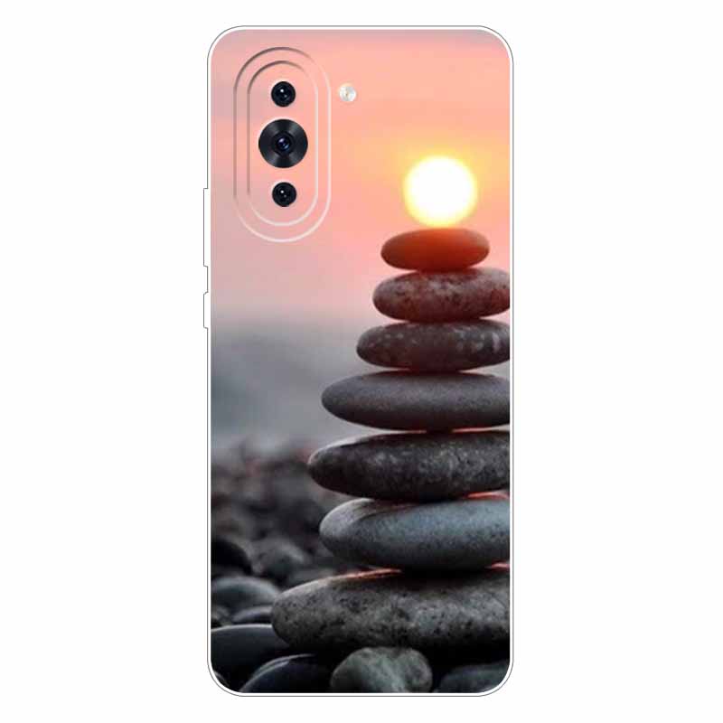 Чехол для Huawei Nova 10 Модный Силиконовый Мягкий Задняя Крышка с Кошкой и Львом для Чехла Huawei Nova 10 Защита Nova10 Крутые Мультяшные Оболочки
