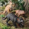 Oenux 6pcs Classic Australian Africa Wild Animals Kangaroos Koala Cassowary Hyena Warthog Model Action Figure Figurine Toy Kid