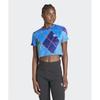 Argyle Fluffy Tee   Blue Green  Il2444