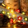 Thanksgiving 10000 Christmas Wreath LED Copper Wire Light String 1 Meter