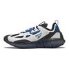 Reebok Кроссовки Zig Kinetica Concept Type 2 'Humble Blue' FW5735