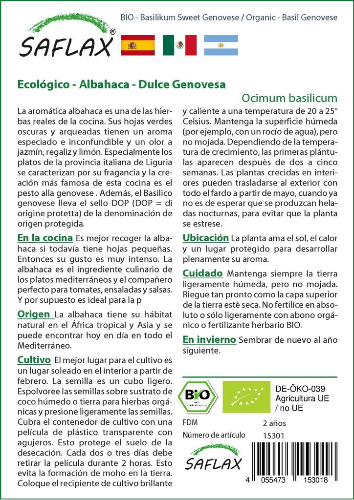 SAFLAX Сад в сумке - Органический - Базилик генуэзский - 800 семян - С субстратом в подходящей устойчивой сумке - Ocimum basilicum