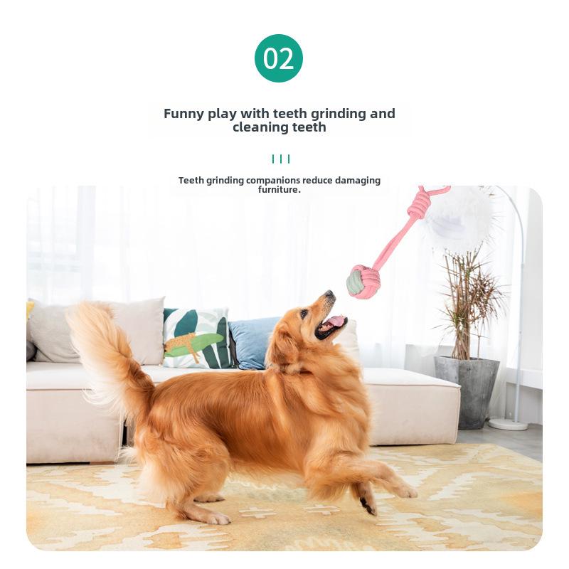 Игрушки для прорезывания зубов у щенков из хлопчатобумажного узелка, устойчивые к жеванию - Основы дрессировки маленьких собак