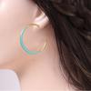 Light Luxury Large Circle Earrings for Women High-end Niche Design Enamel Oil-drop Earrings Stainless Steel Plain Ring Earrings