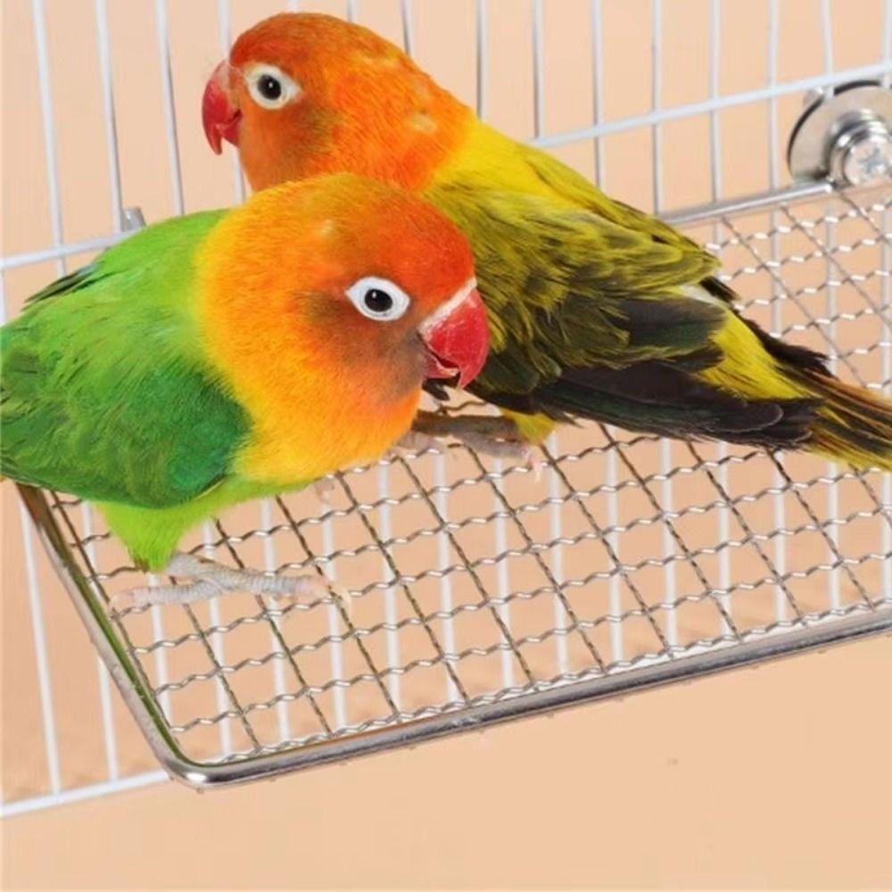 Moisture Proof Metal Grid Perch Stand Rust-Resistant Bird Rest Platform Window Mount