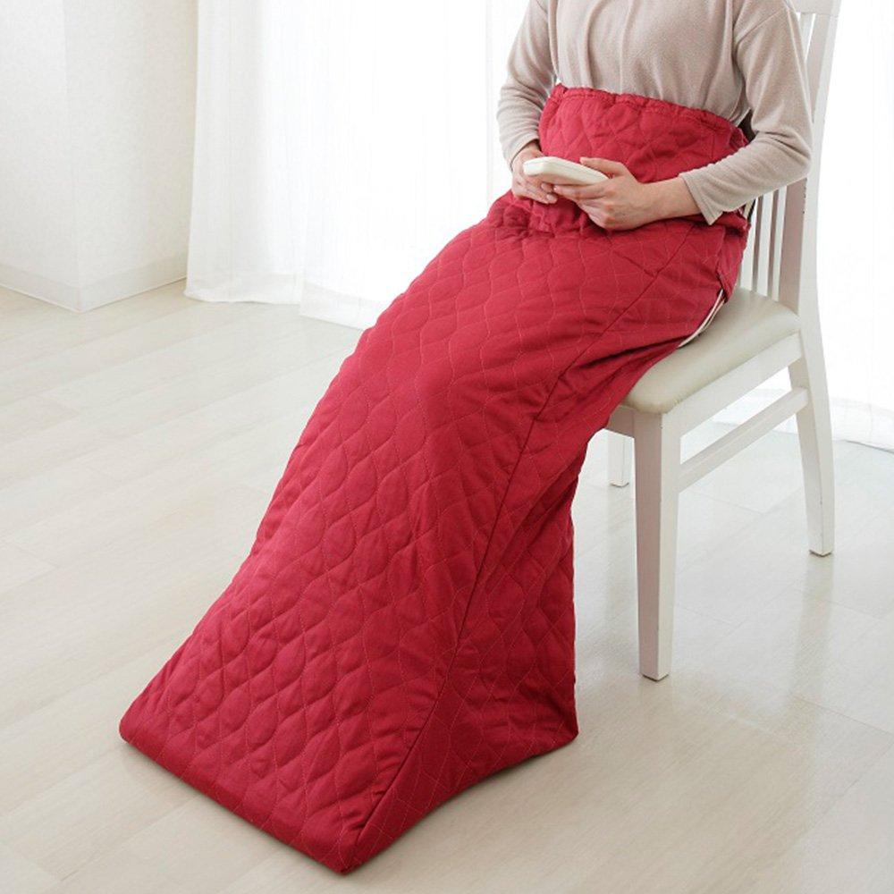 Sugiyama Boshoku Hot Leg Heater Electric Foot Warmer NA-21SHZ(WR)