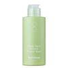 Wishtrend Green Tea & Enzyme Powder Wash 110 г