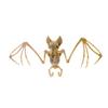 Skeleton Model Halloween Animal Skeleton Bat Mouse Lizard Scorpion Halloween Bats Skeleton   Home