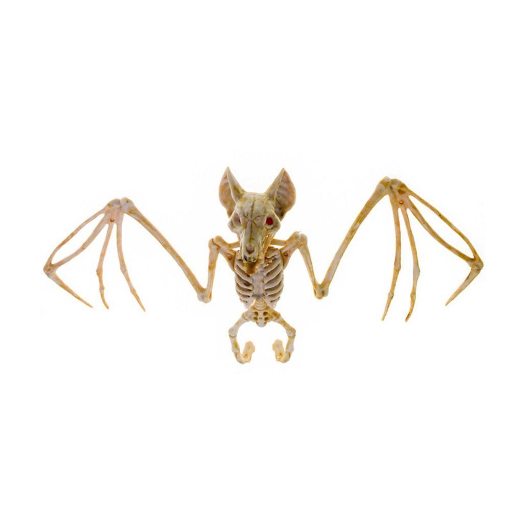 Skeleton Model Halloween Animal Skeleton Bat Mouse Lizard Scorpion Halloween Bats Skeleton Home