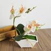 Durable Artificial Butterfly Orchid Vivid Vivid Color Realistic
