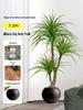 Dragon Blood Tree - Large Indoor Faux Plant for Living Room Decor