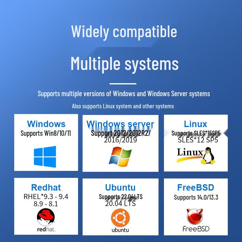 FLYBISH KY-82599-LR2 10GbE Dual Port Fiber PCIe Network Card