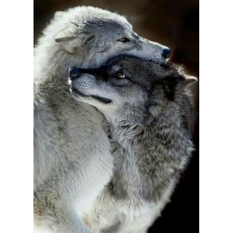 Diy волк 5D алмазная живопись полная круглая дрель смола мультфильм животных Алмазная вышивка набор крестиков домашний декор настенный художественный подарок