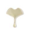 Ginkgo Guasha (Gua Sha)