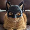Маска Летучая Мышь Кошка Многоразовая Маска Кошки для Косплея Легкая Маска Летучей Мыши Китти для Хэллоуина Вечеринок Забавный Фотоаксессуар