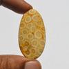 Natural Fossil Coral Gemstone Cabochon, Top Quality Indonesians Fossil Coral Cabochon Craft Supply 51 Carats Oval Shape, Jewelry Making