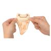 Nakajima Corporation Лягушонок Пиклз Улыбка Карри Хаус Карабин Талисман Наан x Ш6 x 214379-25 В10.5 Г2.5см