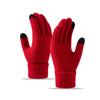 Cute Student Gloves with Winter Velvet Windproof and Cold Proof Cycling Knitted Touch Screen Warm Gloves for Women In Autumn and Winter
