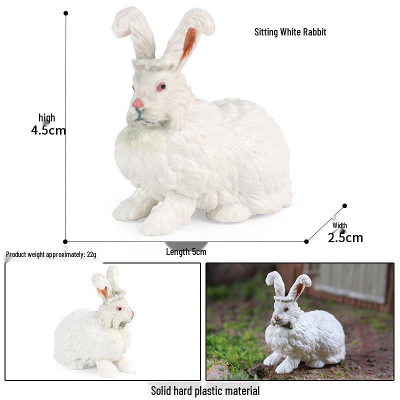 Cute Animal Models: Japanese Raccoon, Flying Squirrel, Monkey, Rabbit, Squirrel, Shiba Inu, Tiger, Lion, Lizard Toy Set
