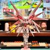 Strike Freedom HG Гандам Красный Астрай Единорог Модель Набор Игрушка Подарок