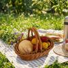 Simple Imitation Rattan Storage Basket Household Portable Fruit Storage Baskets Decorative Save Space Handheld Gift Box