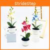 Potted Phalaenopsis Simulated Artificial Artificial Flower Desktop Ornament
