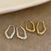 Irregular Geometric Matte Metal Ear Buckles Feminine Style Unique Design Sense Fashion Temperament Earrings Earrings