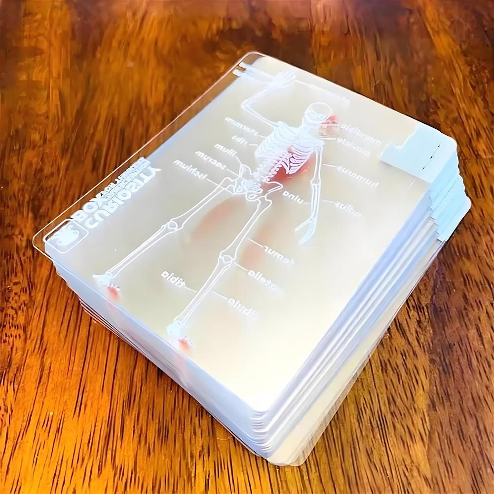 The Body Deck Cards Reusable Body Transparent Playing Cards Multi-Purpose Human Anatomy Playing Cards for Anatomy Enthusiasts