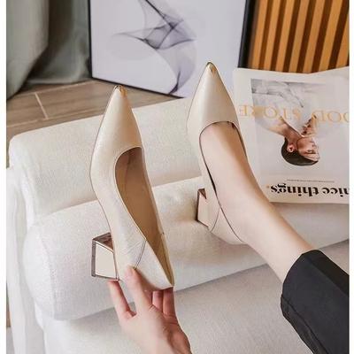 Остроносые туфли на высоком каблуке женственность толстый каблук 2024 новые средний каблук весна и осень черные профессиональные универсальные удобные мягкая подошва одинарные туфли