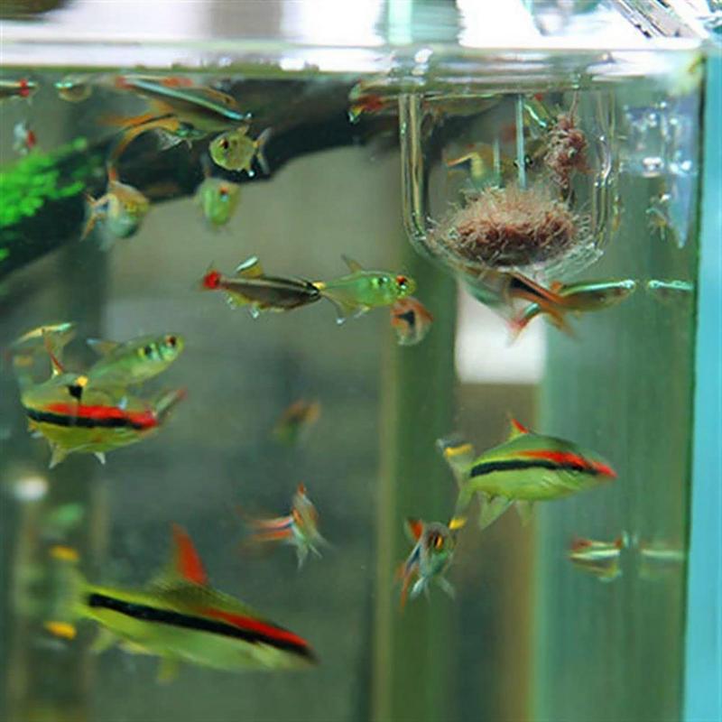 Аквариумный горшок для растений, стеклянный цилиндрический стакан с присосками для выращивания семян водных растений, коралловый мох, украшение для аквариума