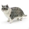 Cat Model Figurine Short Hair Cognitive Cartoon Animal Miniature Kitty Figures