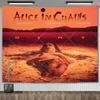 Постер Alice In Chains Классическая группа Хэви-метал Обложка музыкального альбома Гобелен Декор спальни Настенные гобелены для комнаты