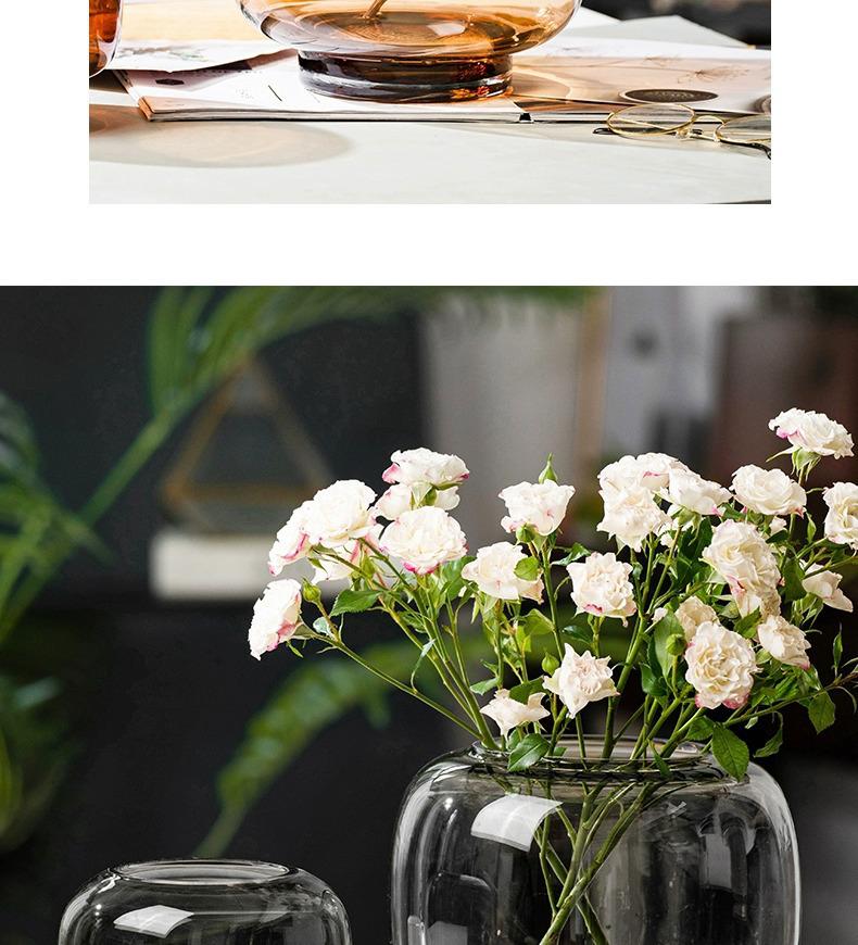 Elegant Large Glass Vase - Luxury Home Decor for Living Room Desktop