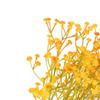 5pcs Plastic Fake Baby's Breath 3 Branch Dancing Orchid Stems Long Fake Silk Flowers  Office Decor