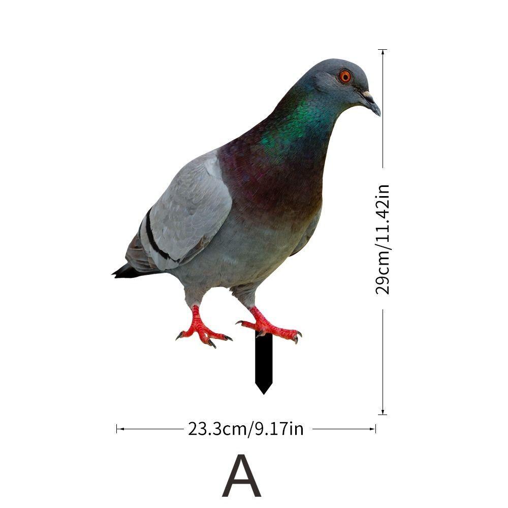 Double-Sided Printing Pigeon Sculpture Acrylic Pigeon Statues Wild Pigeon Decorations Realistic