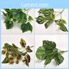 Plant Wall Fake Greenery With Assorted Leaf Varieties For Photography Sets And Home Interior
