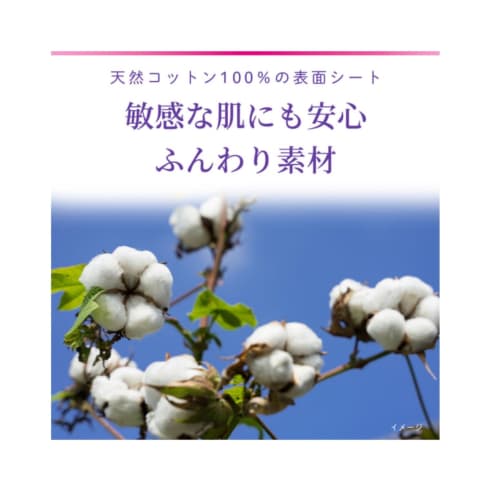 Bulk Purchase: Sarasaty Sararie SARAELIEE Panty Liners for T-Back Panties, Unscented, 20 Sheets Per Pack, Set of 3, Deodorizing Ingredients, Light Dai