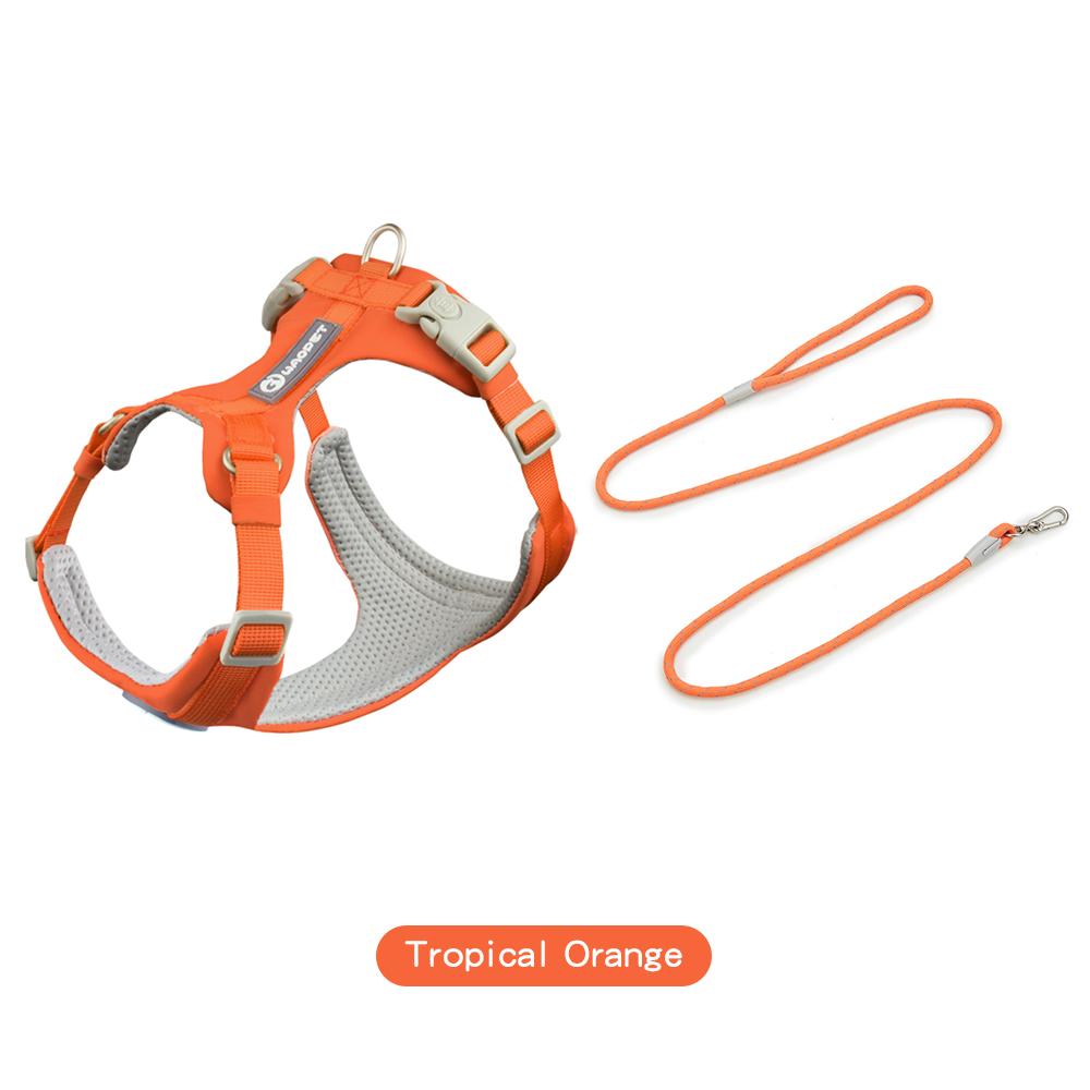 Шлейки для собак, набор с поводками, подарки для домашних животных, собак, кошек, жилет для маленьких, средних и больших собак, набор веревок для дрессировки на открытом воздухе, товары для домашних животных
