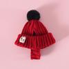 Knitted Dog Hat Cat Pompon Hat Winter Warm Hat with Ear Holes for Small