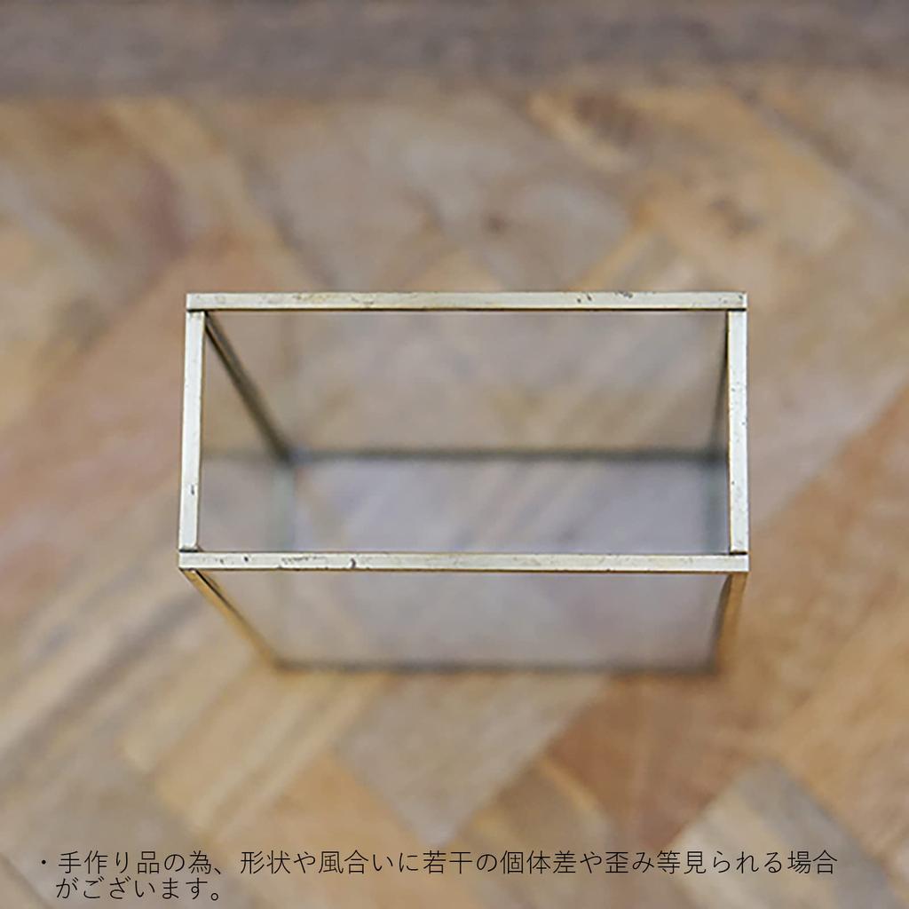 Posh Living Frame Flower Vase, Solid, Clear, Size: Approx. W12 D6 H16.5 (22696)