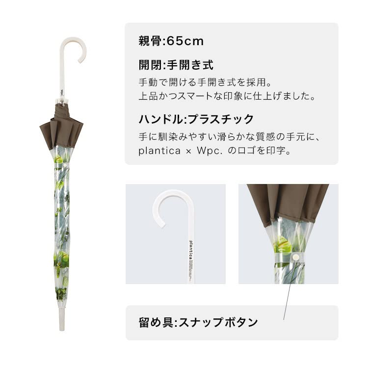 Vinyl Umbrella x Flower Long [2022] Wpc. [plantica Wpc.] Umbrella, Plastic, Off-White, 65cm, Women's Umbrella, PLV-015