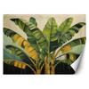 Wallpaper Banana Leaves Nature