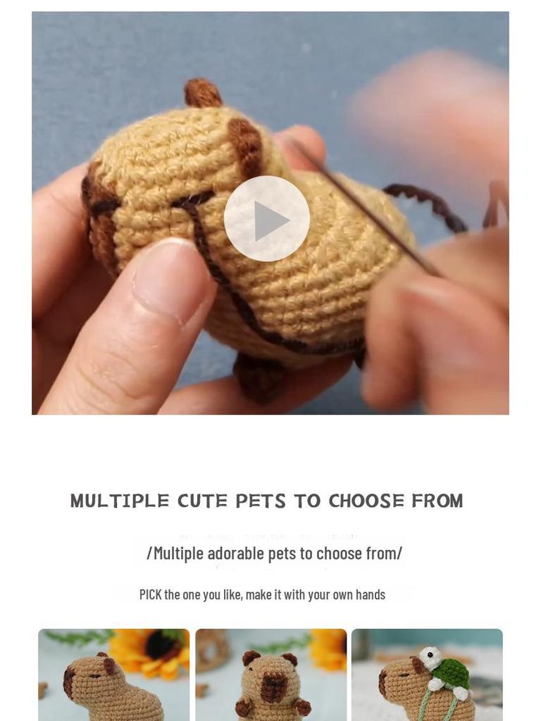 Набор для вязания крючком капибары ручной работы: Набор для начинающих «Сделай сам» шерстяных подвесок в виде животных