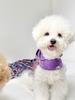 PLUM STUDIO Twinkle Purple Line Шлейка - 2 типа