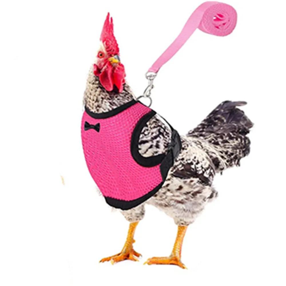 Fashion Chicken Duck Vest Harness, Pet Hen Belt with Matching Collar Bow, Breathable Comfortable Poultry Supplies