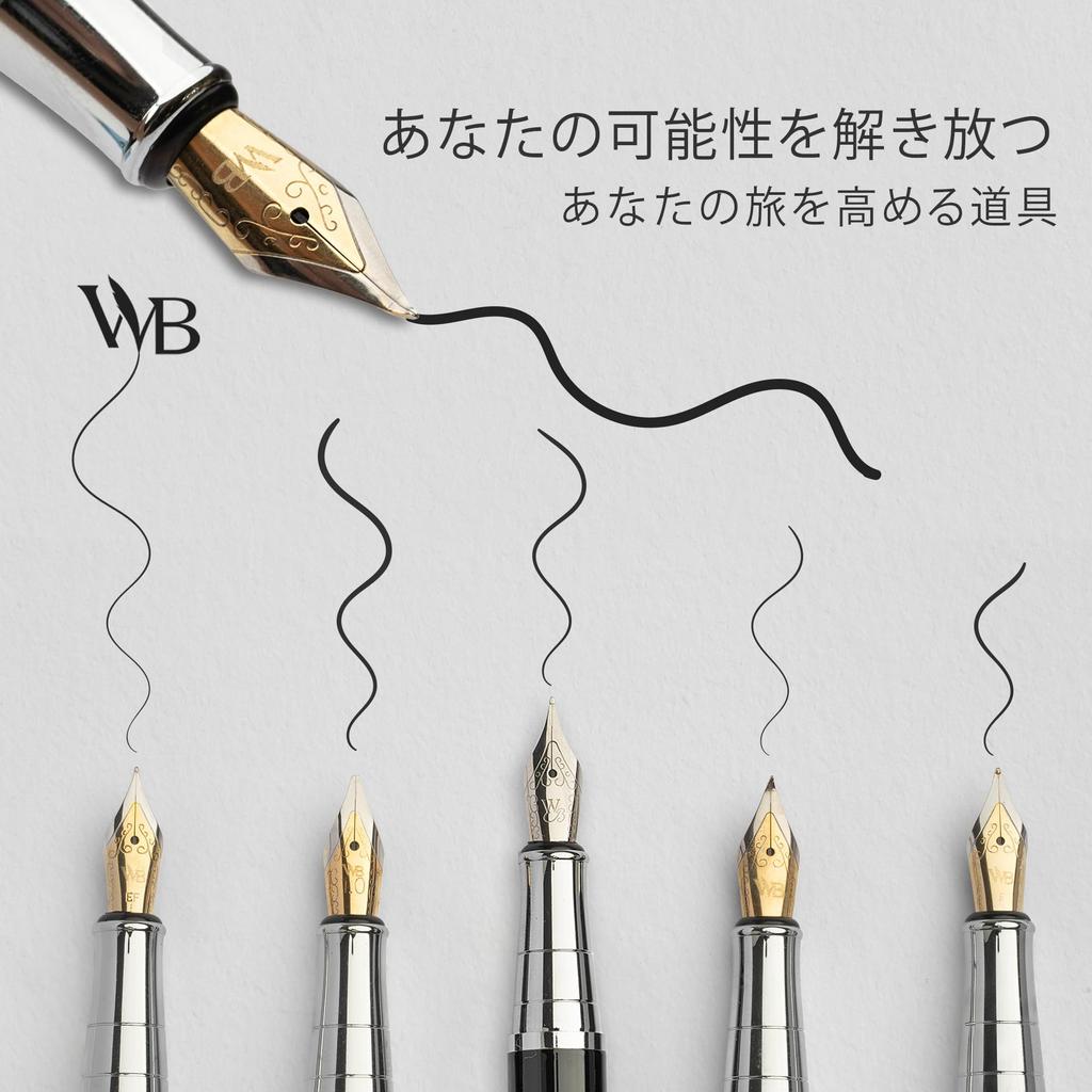 Чернила для авторучки Wordsworth Black, подарочные, 6 стержней для чернил, 4 сменных пера, ручка Premium Smooth Writing Pen & Set, флакон, картриджи, конвертер, перья,