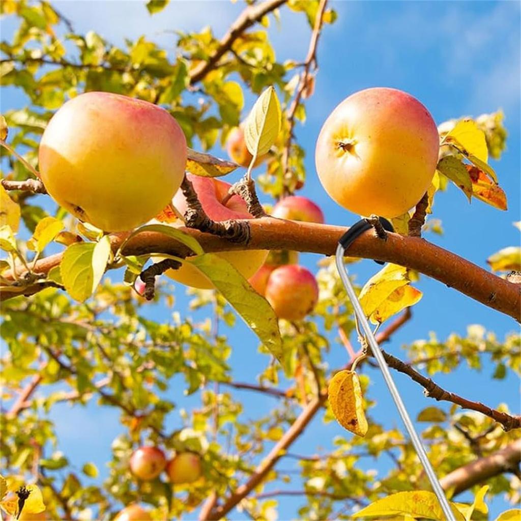 Adjustable Tree Branch Trainer For Fruit Trees Plastic Hose Protection Metal Gardening Tool