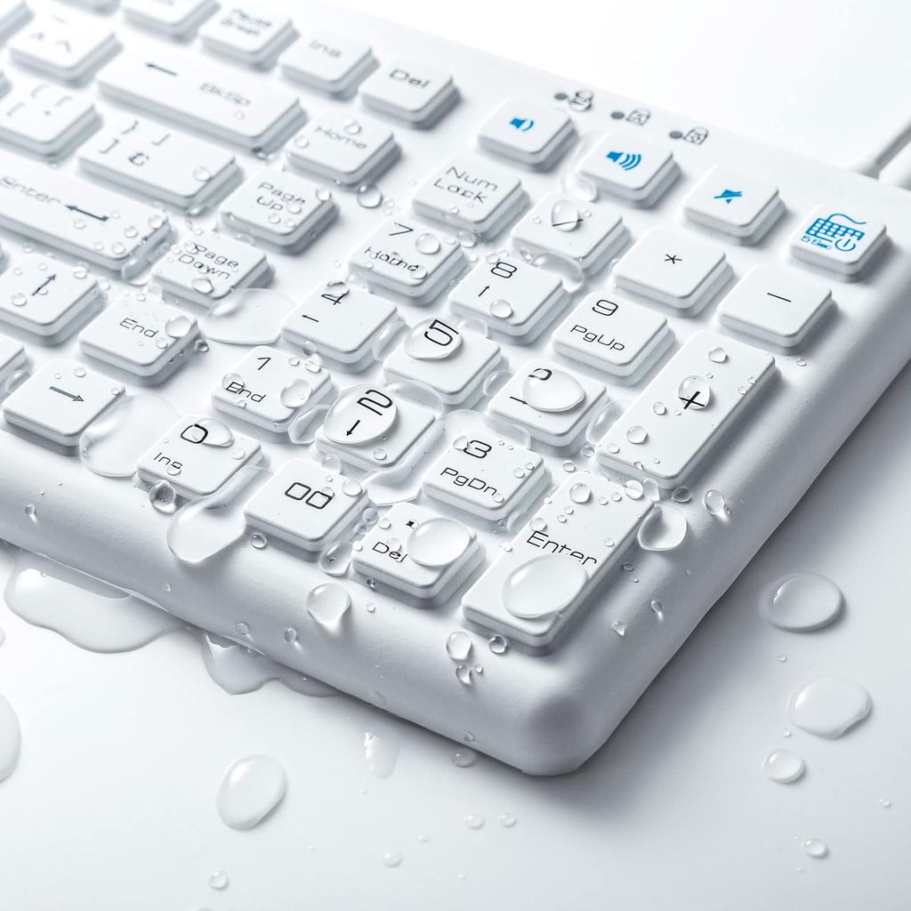 Sanwa Supply Keyboard Wired USB Connection Dustproof White Antibacterial, Waterproof, SKB-BS7W