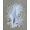 Decorative Feathers, Light Blue, 8 Cm,